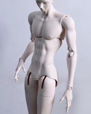 Doll Body