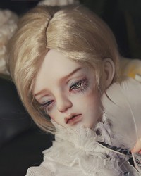 62cm Dean Head