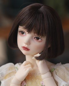 WDP135 Dark Choco 1/6