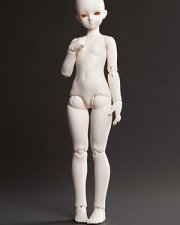 Doll Body