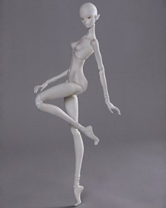 K-body-24 (46cm)