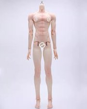 Doll Body