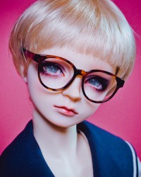 GLS212 Tortoiseshell 1/3