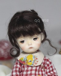 WDP081 Dark Choco 1/6