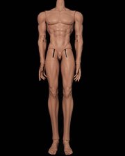 Doll Body