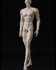 Doll Body