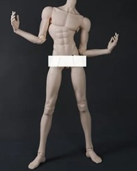 DF-H 77 Strong Boy Body Strong Ver.(77ST)