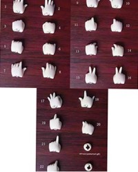 Guard Love 1/6 Hand (Ver.4, Ver.5)