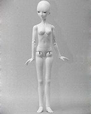Doll Body