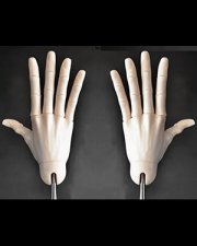 Jointed Hands