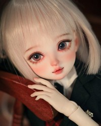 Acacia Bean Open-eye