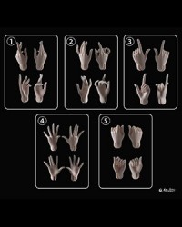 Huajing 1/4 Girl(Zhuyu) Hands