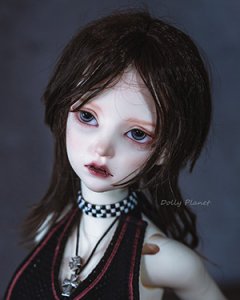 WDP104 Dark Brown 1/6