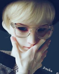 GLS217 Transparent 1/3 GLS217 Transparent 1/3