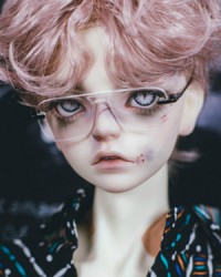 GLS223 1/3 GLS223 1/3