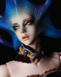 CORNELIA - WHITE&BLACK