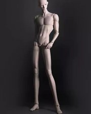 Doll Body