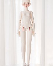 Doll Body