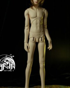 DF-H 65cm 3-part Torso Boy Body