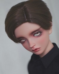 WDA3039 Brown