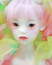 60cm Olanda Head