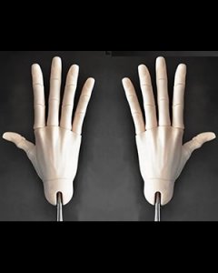DF-H 77ST/SL Male Jointed Hands
