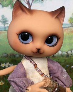 Lenore-Toffee kitten Fullset (Limited)