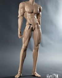 DK 75cm/78cm Kui Lang Body (DS18, High Body Fat)