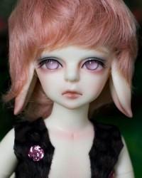 Demi/Aemi (Forest Story, LE 50)