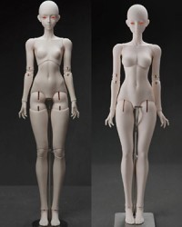Coralreef Whale Island 68cm Girl Body (Pure Girl)