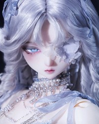 68cm Lan Head