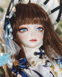 Bleuet