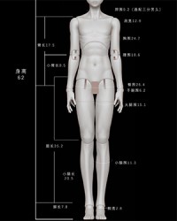 AE 1/3 Boy Body (AE-M-62)