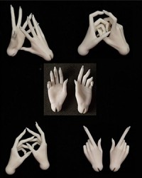 Coralreef 1/4 Girl Hands (Witch)
