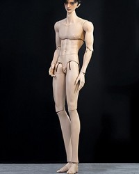 DK 70cm Boy Body Ver.4 (Thin Muscle-DS16)