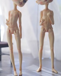 Miracle 26cm Special Body