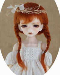 WDP005 Carrot 1/8