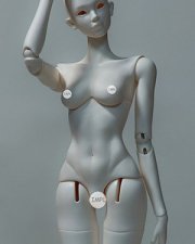 DOLL BODY