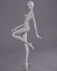 K-body-24 (46cm)