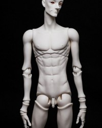 A-body-08 (72cm)