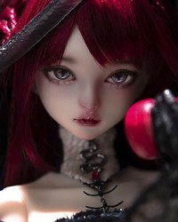 Edina (Fullset)
