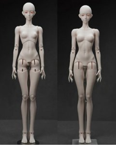 Coralreef Whale Island 68cm Girl Body (Witch)