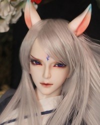 71cm QingChen FOX Head