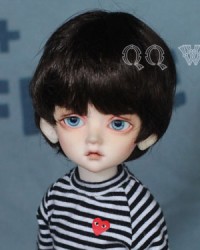 WDP008 Dark Choco 1/6