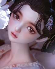 Bloom (58-62cm)