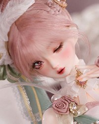 Flore (Fullset + Body Blush)