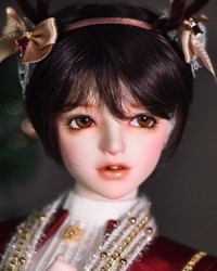 62cm Bennett Head