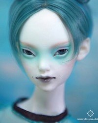 60cm Gine Head