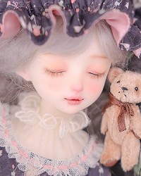 Acacia Bean Sleeping