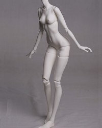 Dream Valley Body B56-01 (60cm)